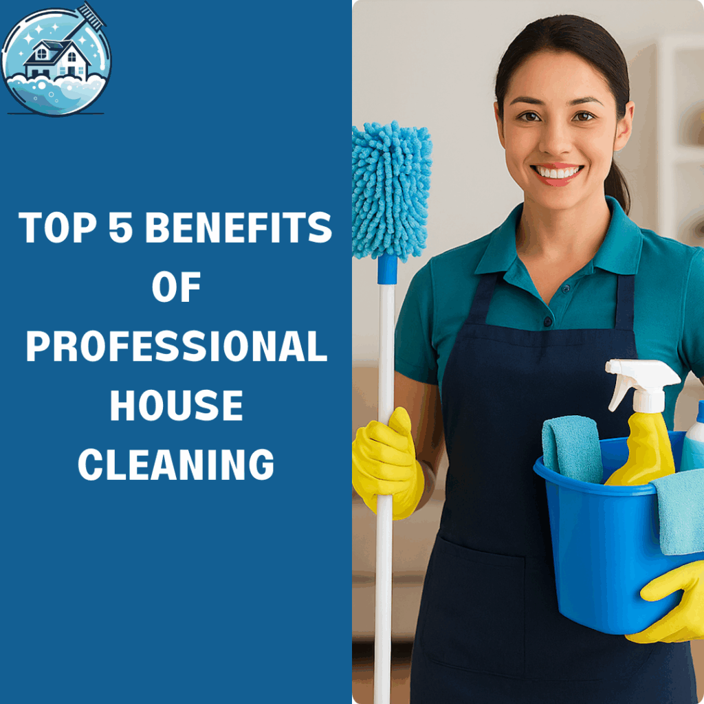 professional house cleaning