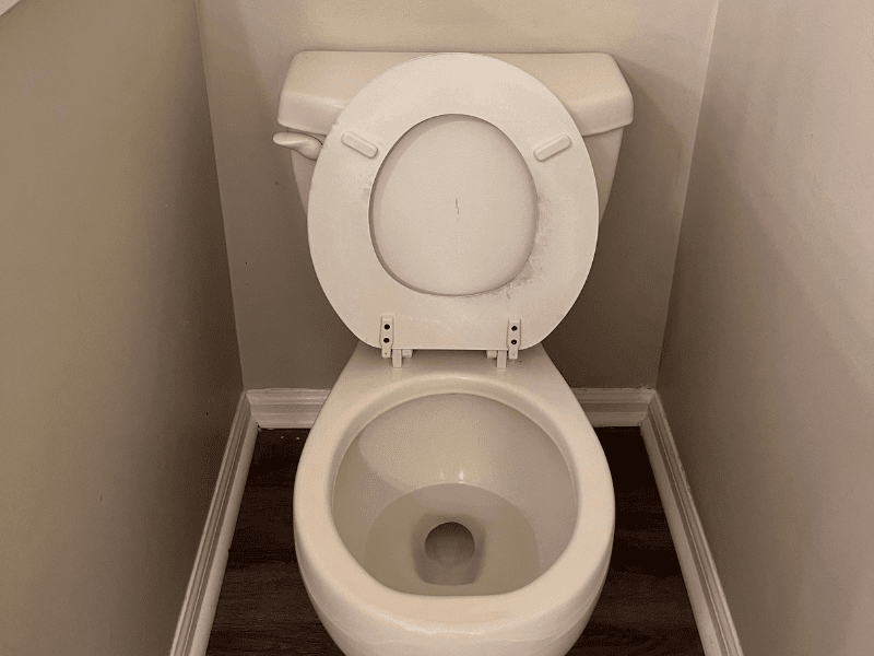 house-cleaning-toilet-after