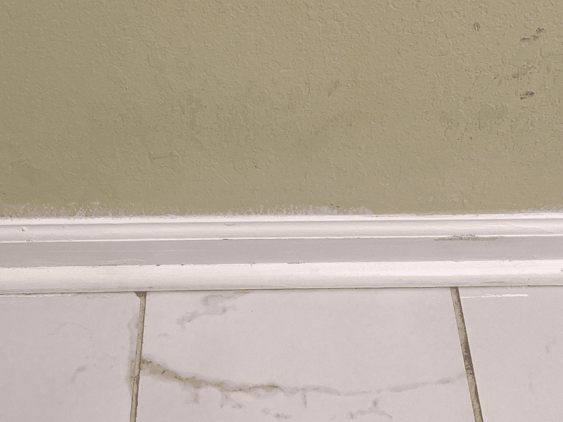 house-cleaning-toilet-after