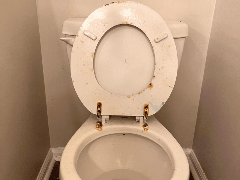 house-cleaning-toilet-before